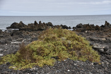 the ocean on the horizon