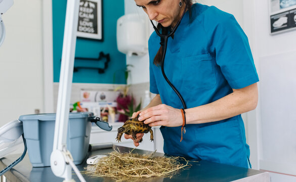 Veterinary office