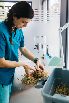 Veterinary office