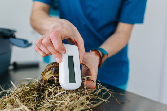 Veterinary office