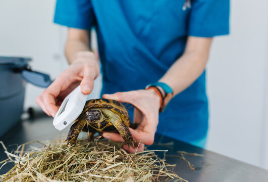 Veterinary office