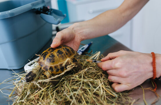 Veterinary office