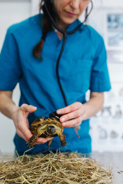 Veterinary office