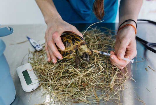 Veterinary office