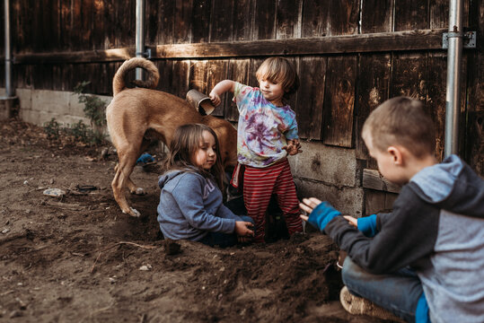 Young boy dumping dirt on sister in dirt in yard