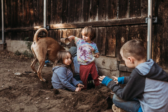 Young boy dumping dirt on sister in dirt in yard