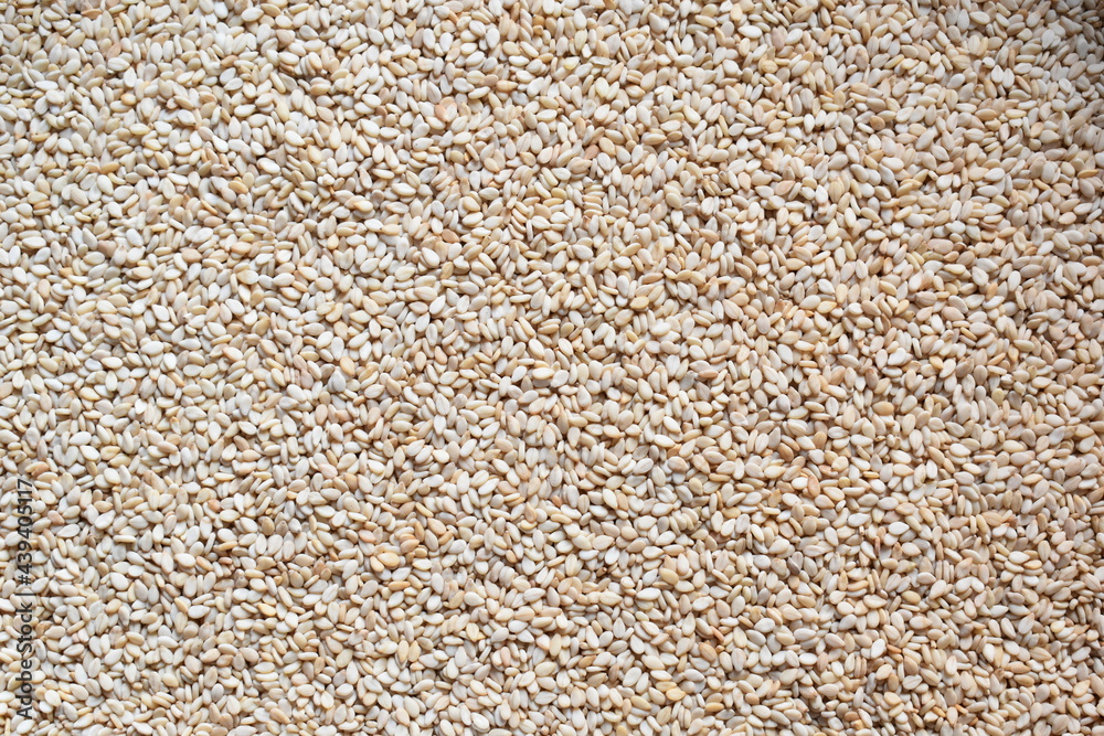 Poster Raw whole dried white Sesame seeds