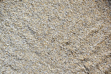 Raw broken dried Pearl millet