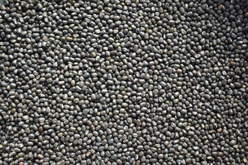 Raw whole dried black Urad lentils