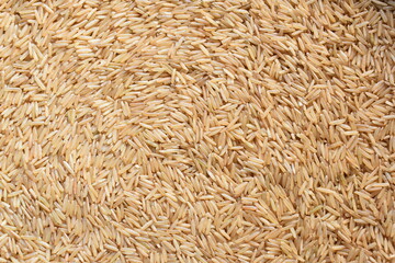 Raw whole dried brown Basmati rice