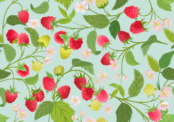 Watercolor raspberry seamless pattern. Summer berries, fruits, leaves, flowers background