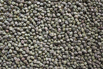 Raw whole dried green Chickpeas