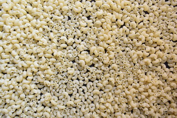 Raw whole dried Macaroni pasta