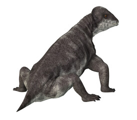 Obraz premium Criocephalosaurus Dinosaur Tail - Criocephalosaurus was a therapsid dinosaur that lived during the Permian Period of South Africa.