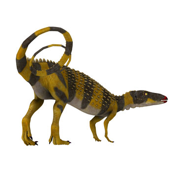 Scutellosaurus Dinosaur with Tail - Scutellosaurus was an armored herbivorous dinosaur that lived in Arizona, USA during the Jurassic Period.
