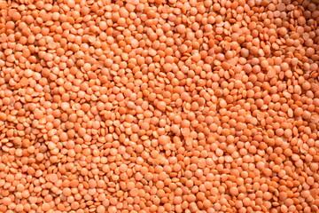Raw whole dried red Masoor lentils