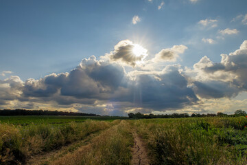 Obraz na płótnie Canvas Rural day landscape with the country road and amazing sky with clouds and sun
