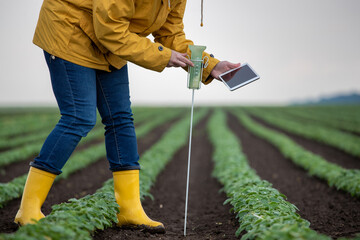 Farmer with tablet and rain gauge in field