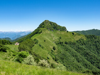 View of Sasso gordona mountain in the italian alps