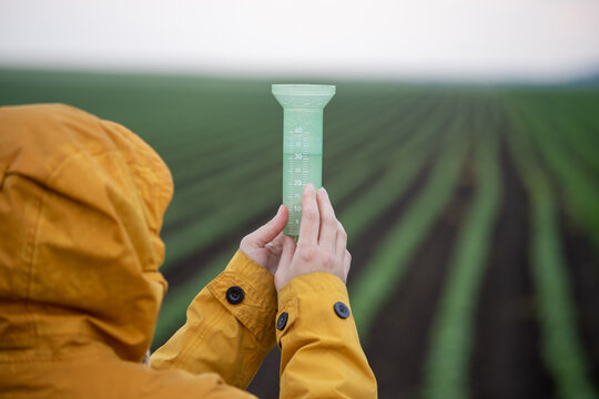 Farmer checking rain gauge in field