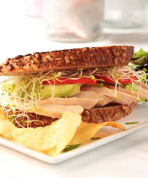 Sandwich images for the food industry.