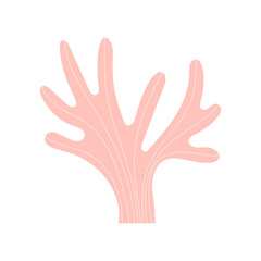 Fototapeta na wymiar Cute hand drawn pink coral. Vector illustration.