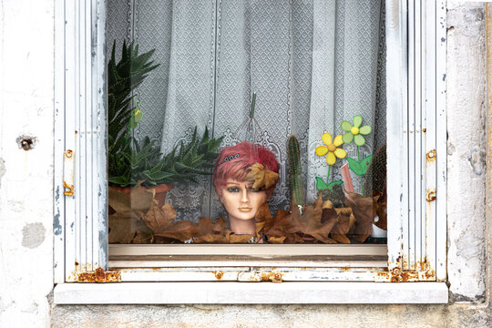 In einem Fenster in Venedig steht ein Puppenkopf mit trockenem Laub, Kakteen und Plastikblumen als Dekoration mit einer Gardine als Hintergrund