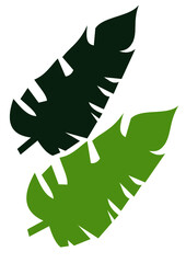 Decorate your home, event, office, farm, site with what is most beautiful in nature.