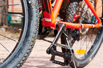 Red mountain bike staying on the yard and ready for the wild ride. Sport and leisure activity theme and backgrounds