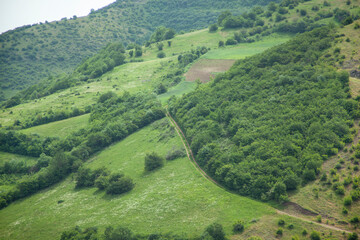green road in mountain forest