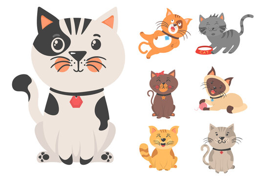 Cute amusing pets kittens and cat characters.