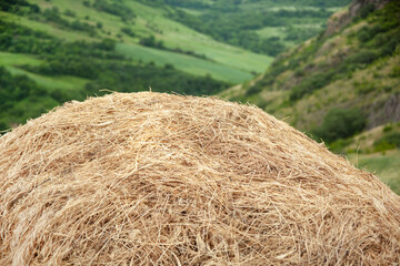 dried grass pile