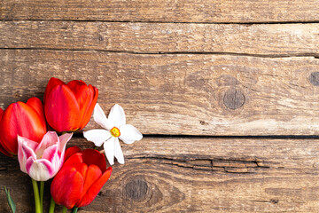 Fototapeta na wymiar Festive flowers composition of tulip flowers, daffodil on old wooden background. Spring holidays concept background. Bunch of tulips flower. Easter and spring greeting card, top view. Copy space
