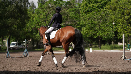 Young girl rider on brown horse in equestrian sport competition. Horse riding on the arena....