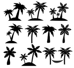 Palm trees black silhouettes on white background. Vector