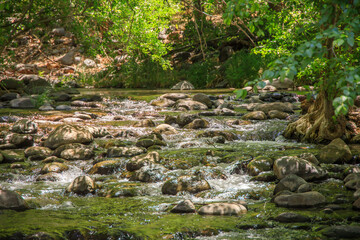Fototapeta na wymiar Water flowing over rocks in a stream