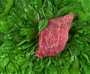 piece of raw meat on a background of green leaves, background for visualization concept of plant-based meat