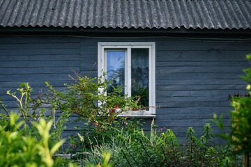 Close up of the window of grey cottage house, overgrown by the garden. Selective focus.