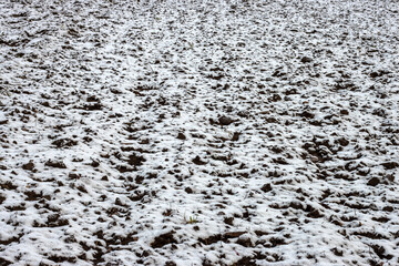 Plowed field in snow close up, agriculture.