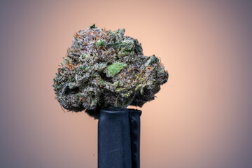 Cannabis Flower Macro - Strain: Deach Diesl B-1