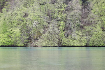 Wohlensee