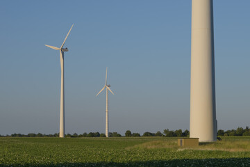 wind turbine in the field