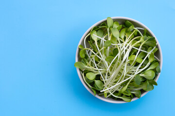 Sunflower Sprout in white bowl on blue background.