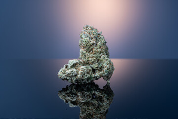 Cannabis Flower Macro - Strain: Sarafina #4