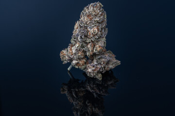 Cannabis Flower Macro - Strain: Gush 1