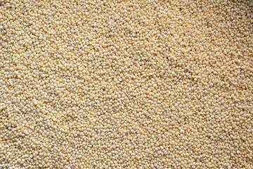 Raw whole dried Proso millet