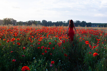 young woman with red dress walks in poppy field