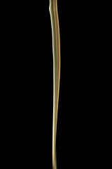 Smoke background for art design or pattern, abstract colored smoke wave, real photo.