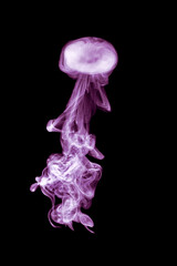 Smoke jellyfish, medusa background for art design or pattern, abstract colored smoke wave, real photo.