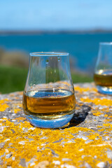 Tasting of single malt Scotch whisky with blue sea, ocean or river view, private whisky tours in Scotland, UK